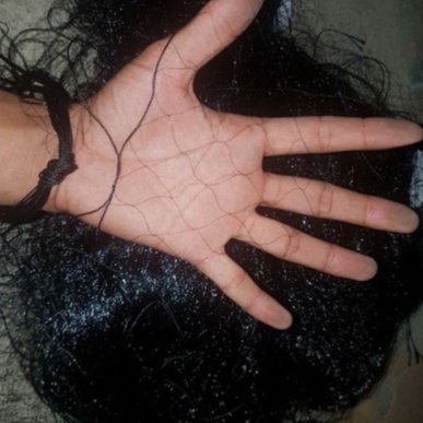 Lưới bẫy chim tàng hình Thái Lan cao 5m đủ size đủ loại 50m từ chào mào, sẻ, cu gáy, cò, cuốc, gà rừng...