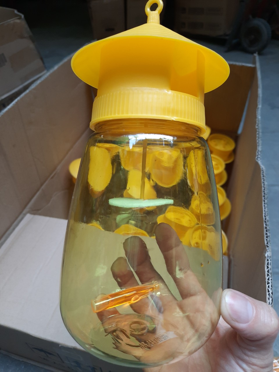 Dụng Cụ Bẫy Ruồi Vàng Hàng Loại 1 (tặng kèm 1 miếng bẫy côn trùng 2 mặt)