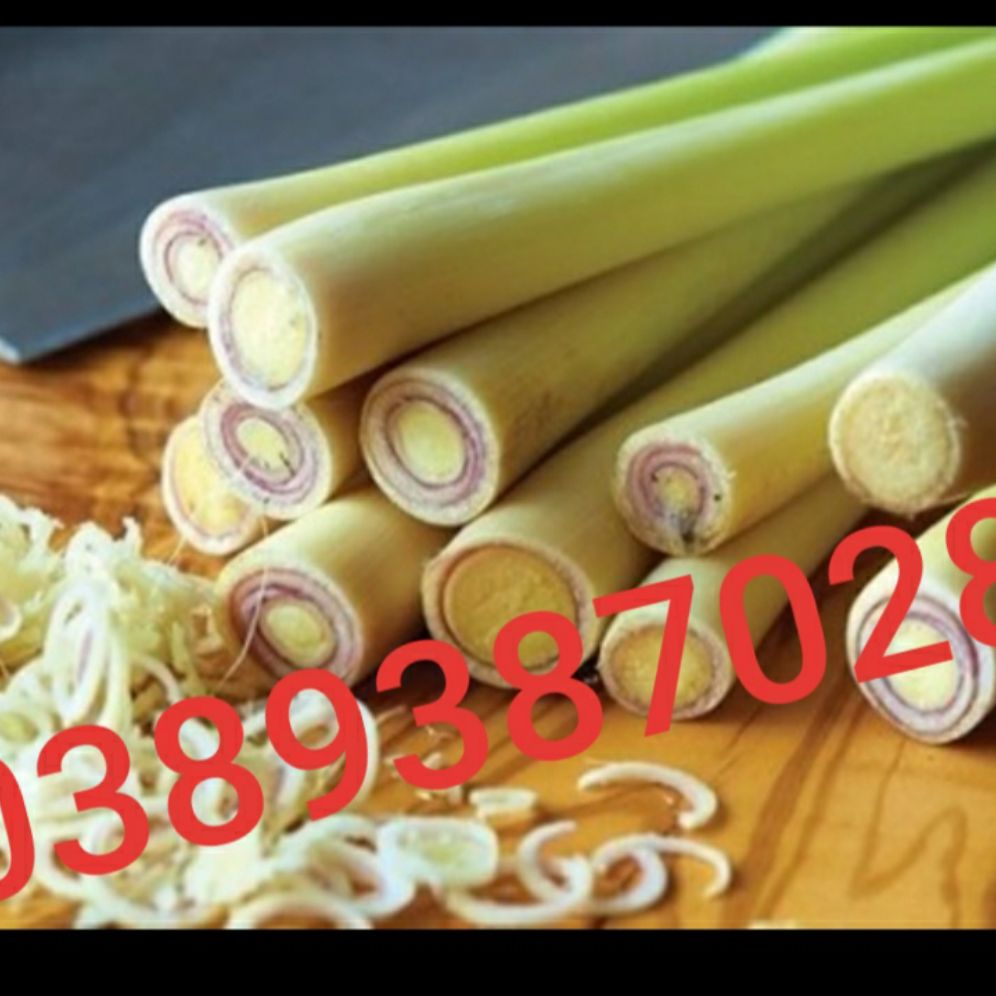 Củ sả tươi,2kg
