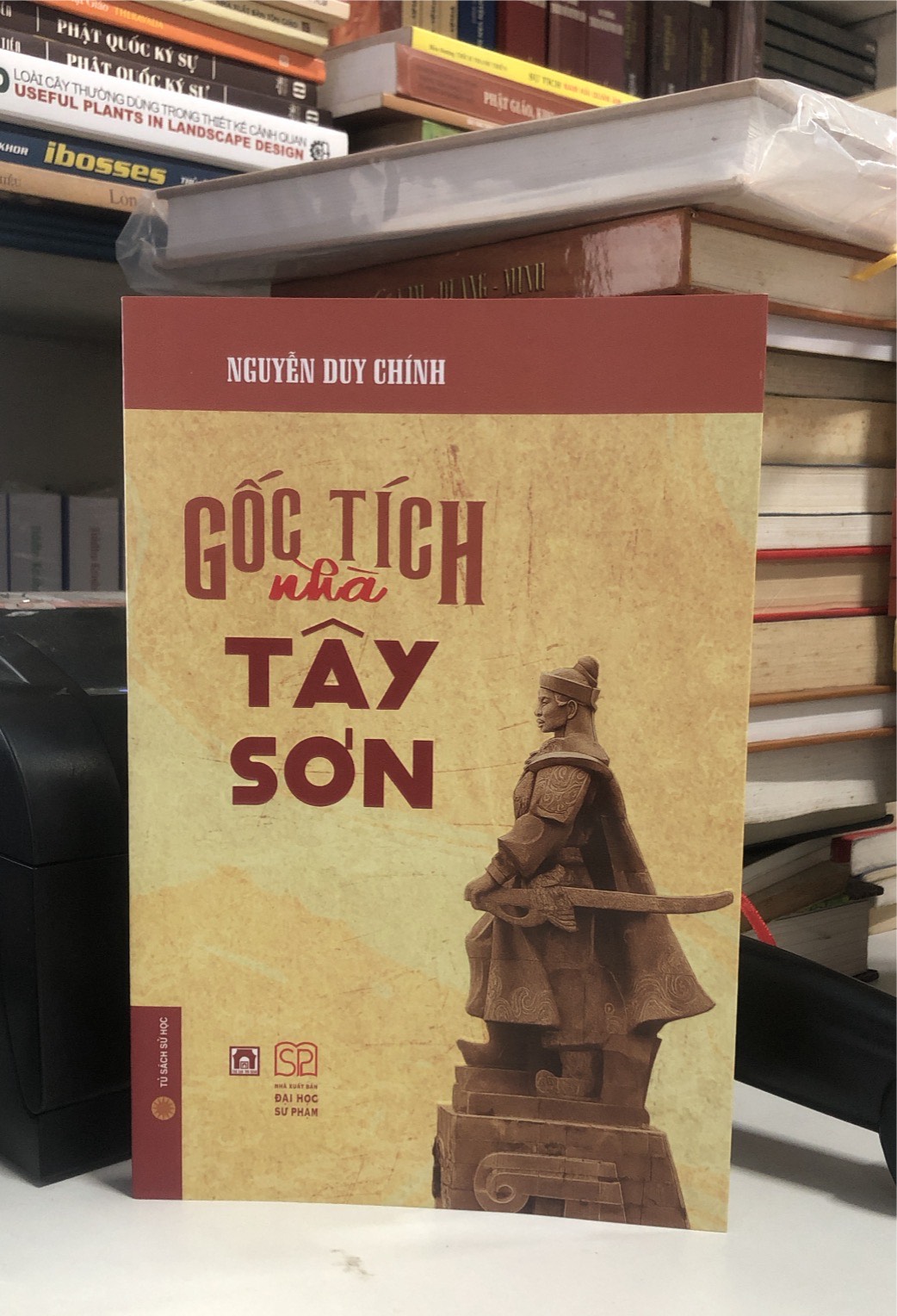 Books - Origins of the Tay Son Family