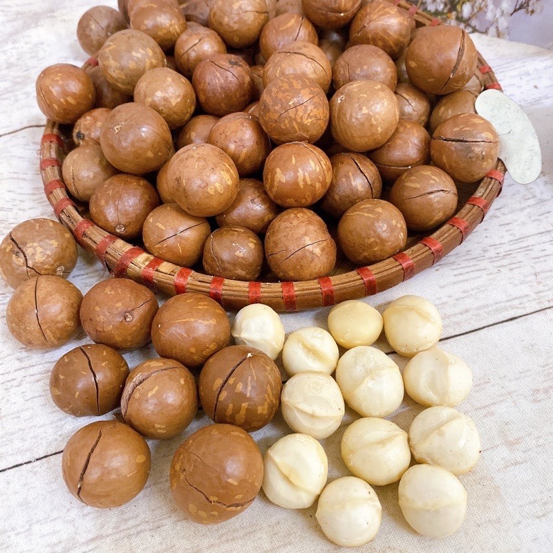 500gr Hạt Macca Daklak loại 1 tách vỏ size trung - Hạt mắc ca Tây Nguyên đã rang sấy tốt cho bà bầu
