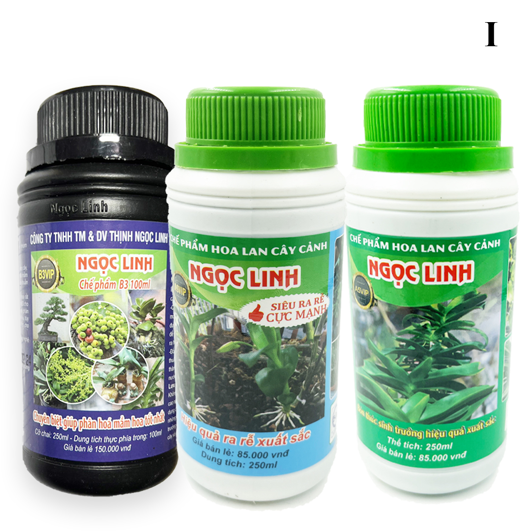Bộ sản phẩm chăm cây toàn diện 3 trong 1