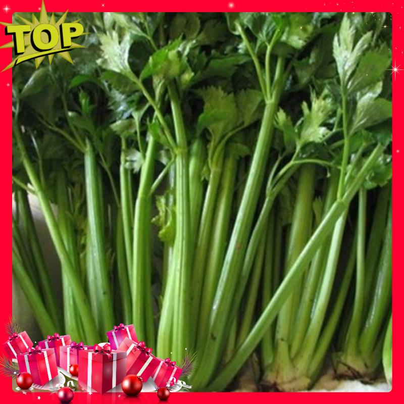 Bộ 04 Gói Hạt Giống Rau Cần Tây - Nảy Mầm Cực Chuẩn