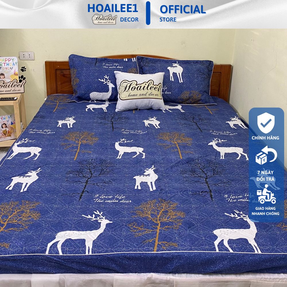 Ga trần bông ga trải giường ga chun kích thước m2 m6 m8 2m