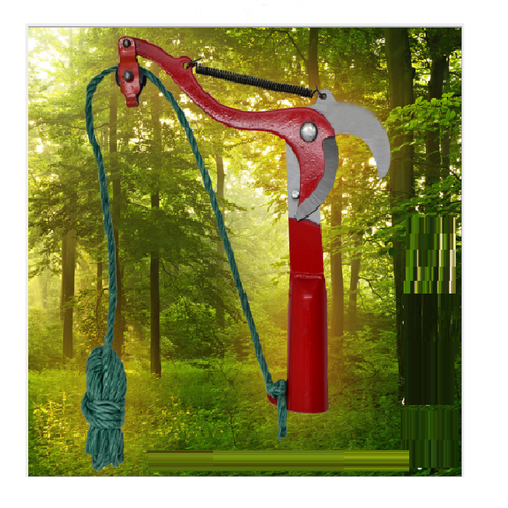 đầu kéo cắt cành tỉa cành cây trên cao