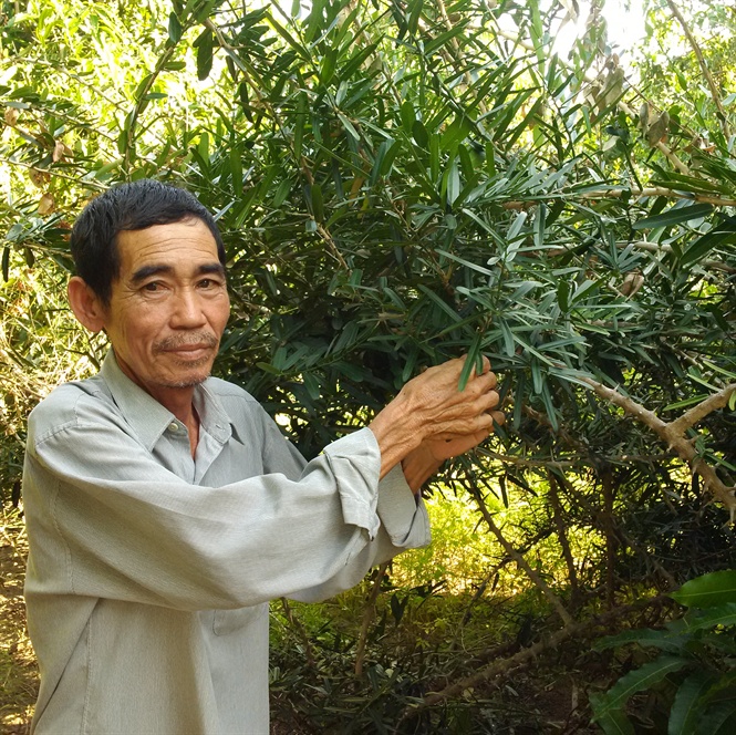 1 ký xáo tam phân loại 1 _ rất tốt cho sức khỏe