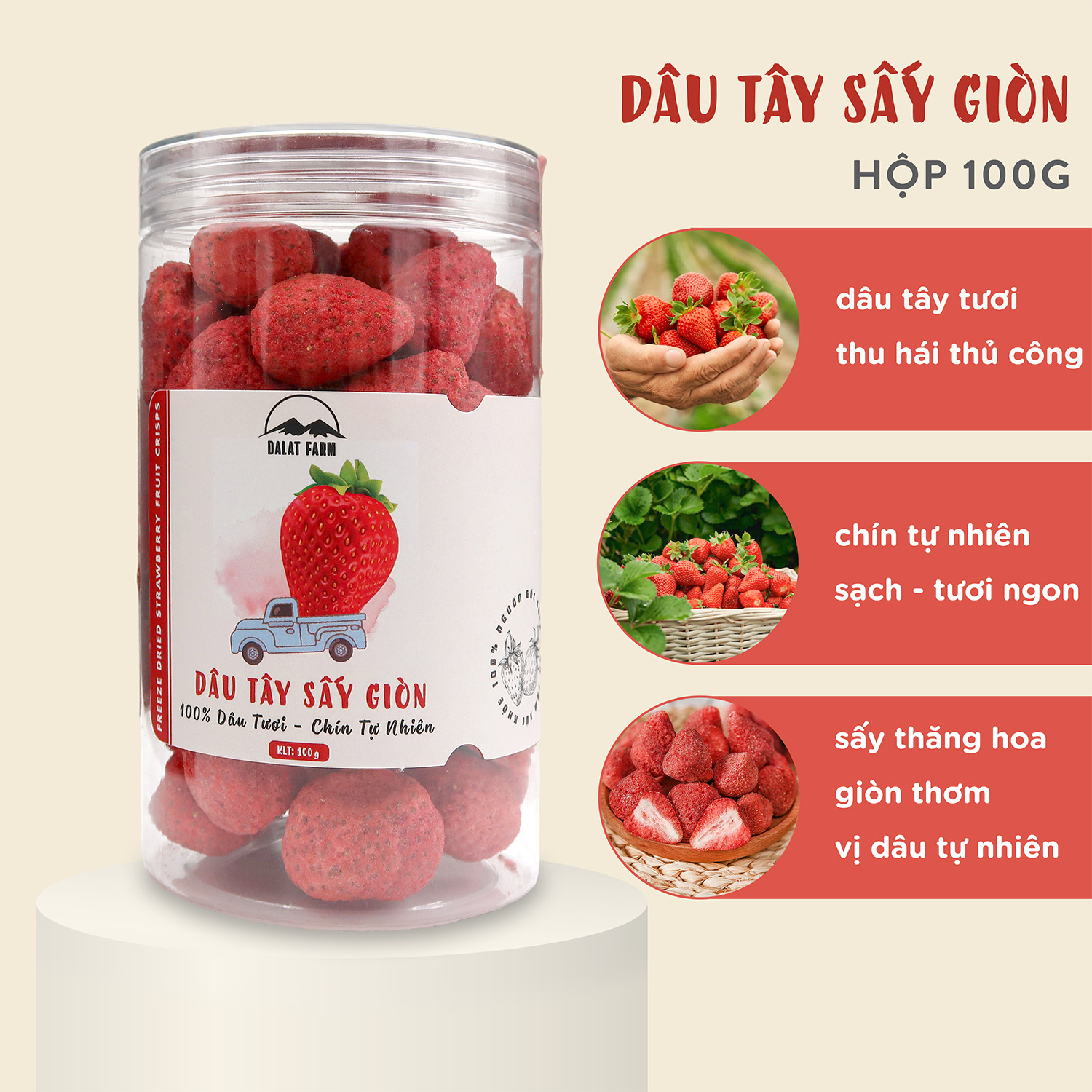  Dâu Tây Sấy Giòn - Hộp 100g 