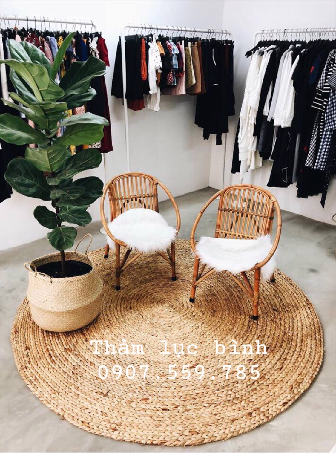 Thảm Lục Bình - Thảm Cói - Thảm Trang Trí