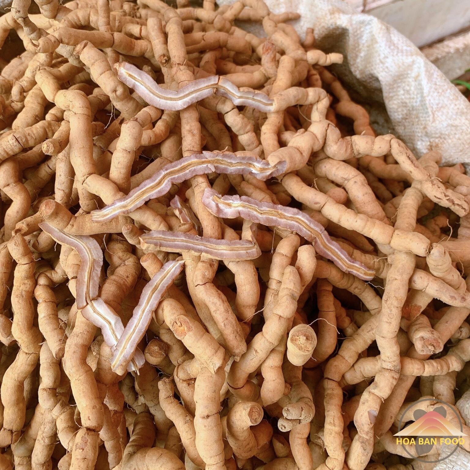 Ba kích tím Quảng Ninh HOA BAN FOOD, củ rễ ba kích tươi ngâm rượu. Ba kích rừng vùng núi cao Tây Bắc giúp bổ thận, tráng dương, mạnh gân cốt