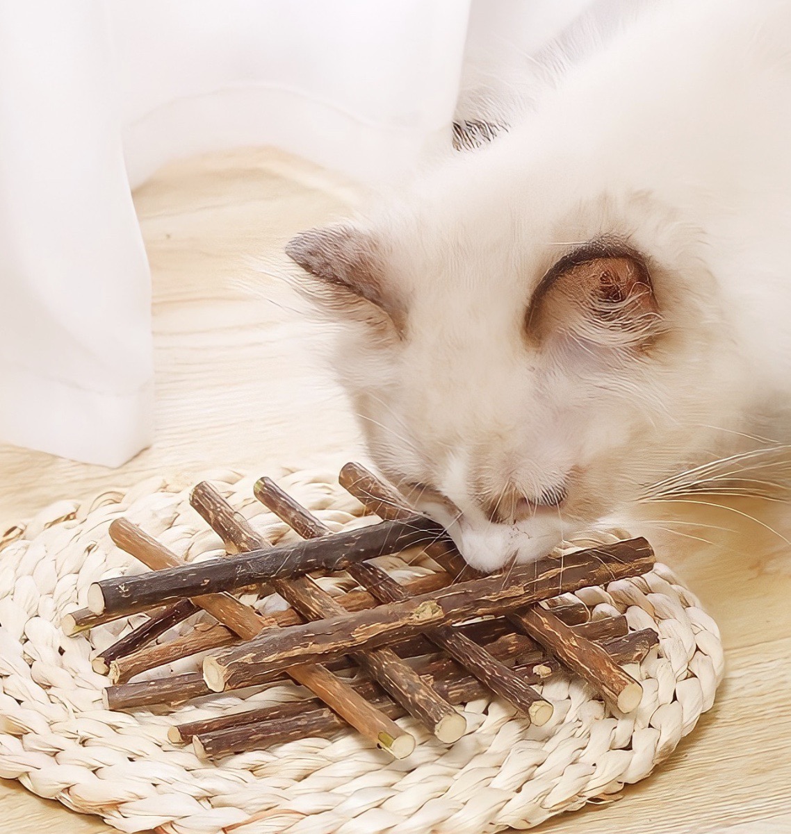 Que catnip cho mèo gặm sạch răng xã stress