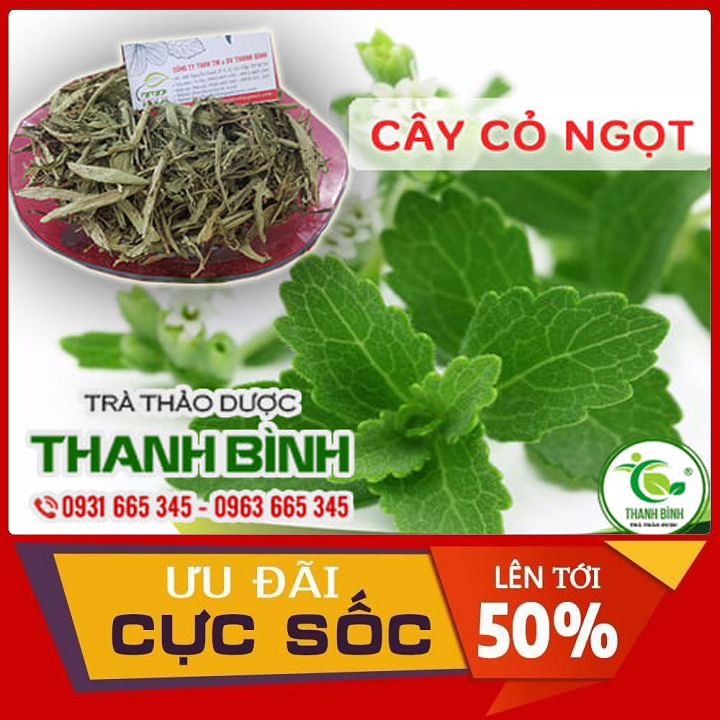 Cây cỏ ngọt khô 500g loại đặc biệt - thảo dược thanh bình