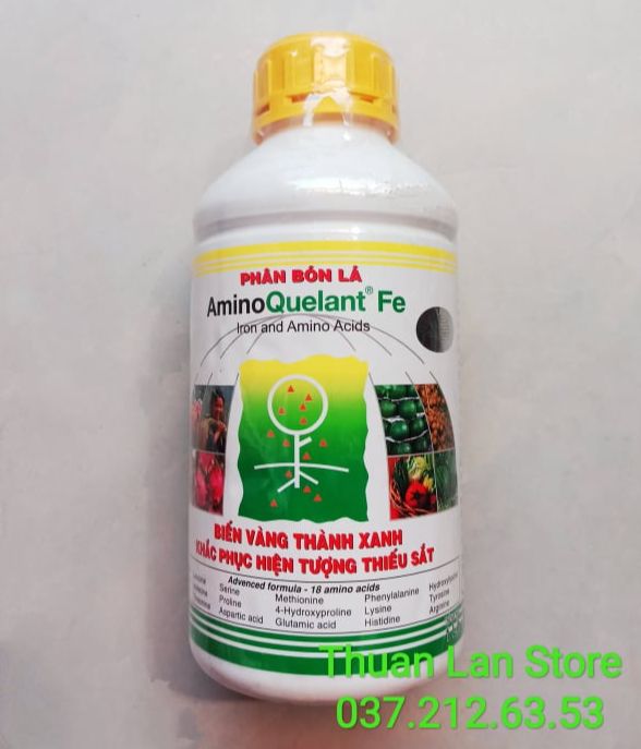 Chai 1lít phân bón lá amino quelant fe ngăn hiện tượng vàng lá