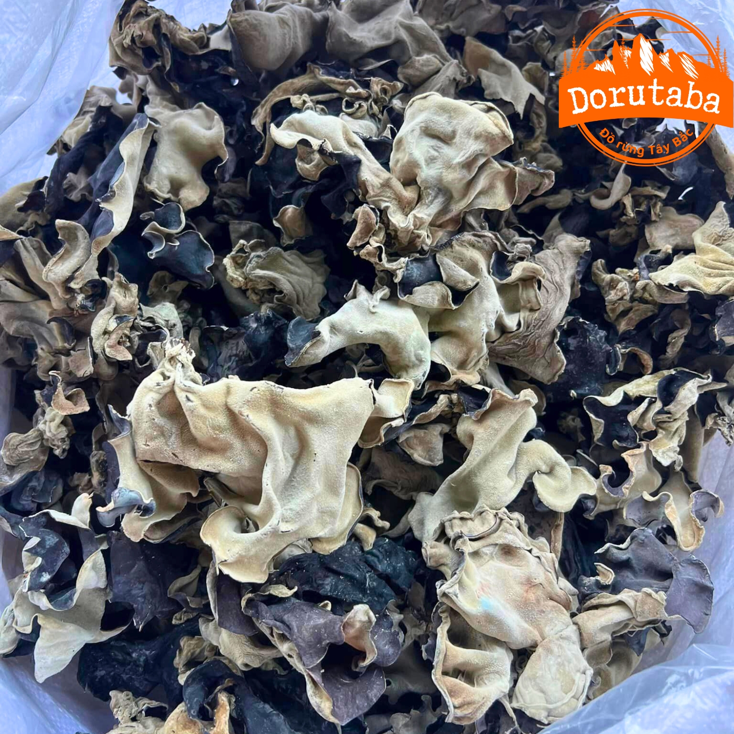 Mộc nhĩ rừng khô cao cấp loại 1 ngon giòn, không tẩm hóa chất, tai nấm to. Đặc sản mộc nhĩ đen, nấm mèo khô Tây Bắc