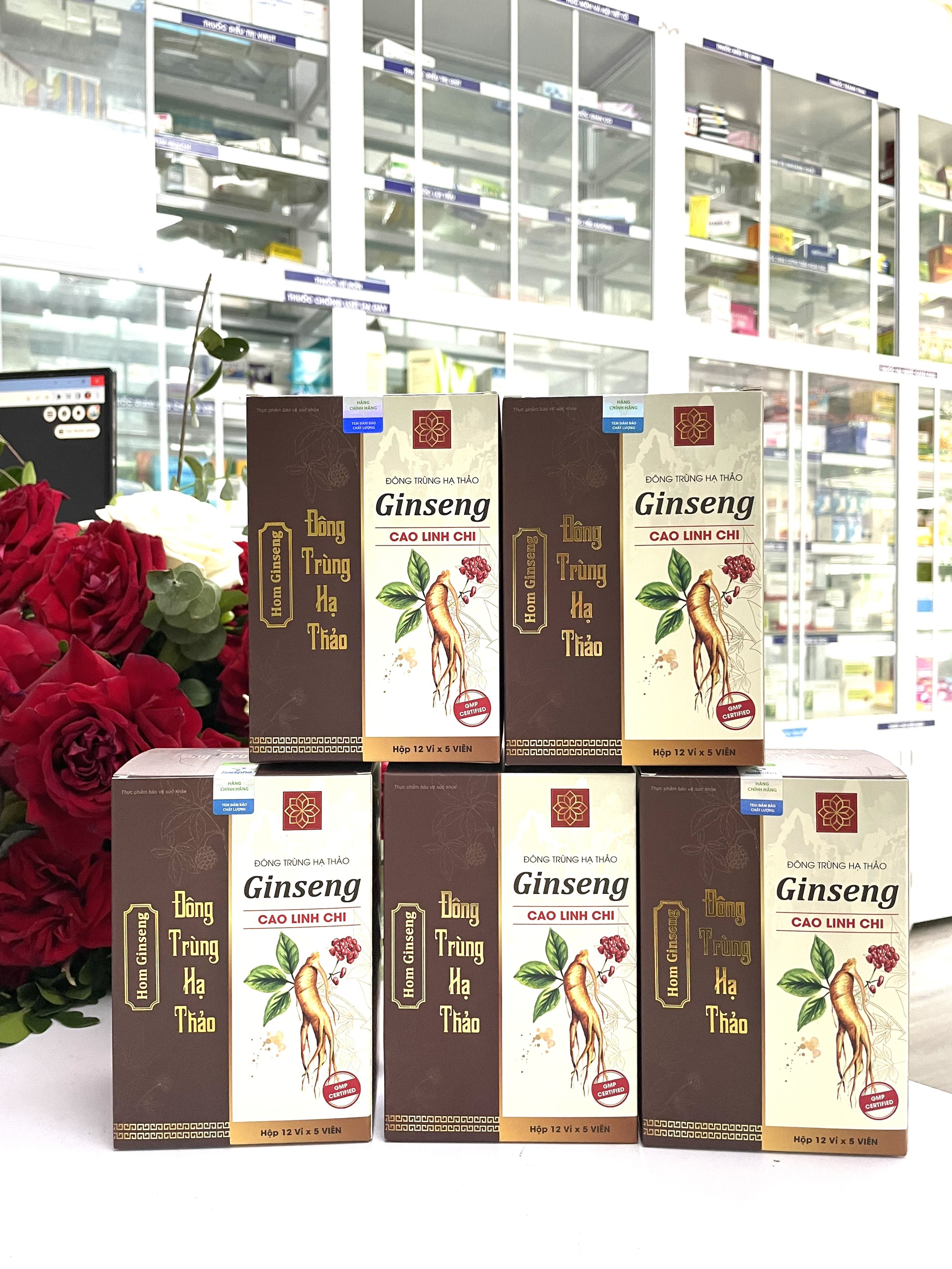 Hom Ginseng đông trùng hạ thảo - cao linh chi hộp 12 vỉ x 5 viên