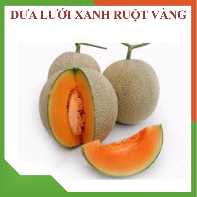 Hạt giống dưa lưới ruột vàng F1, gói 10 hạt, Rau củ quả trồng ban công, sân thueowngj.