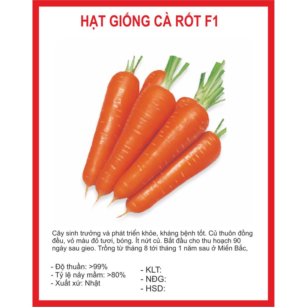 Hạt giống cà rốt cao sản f1 - 0.5gr