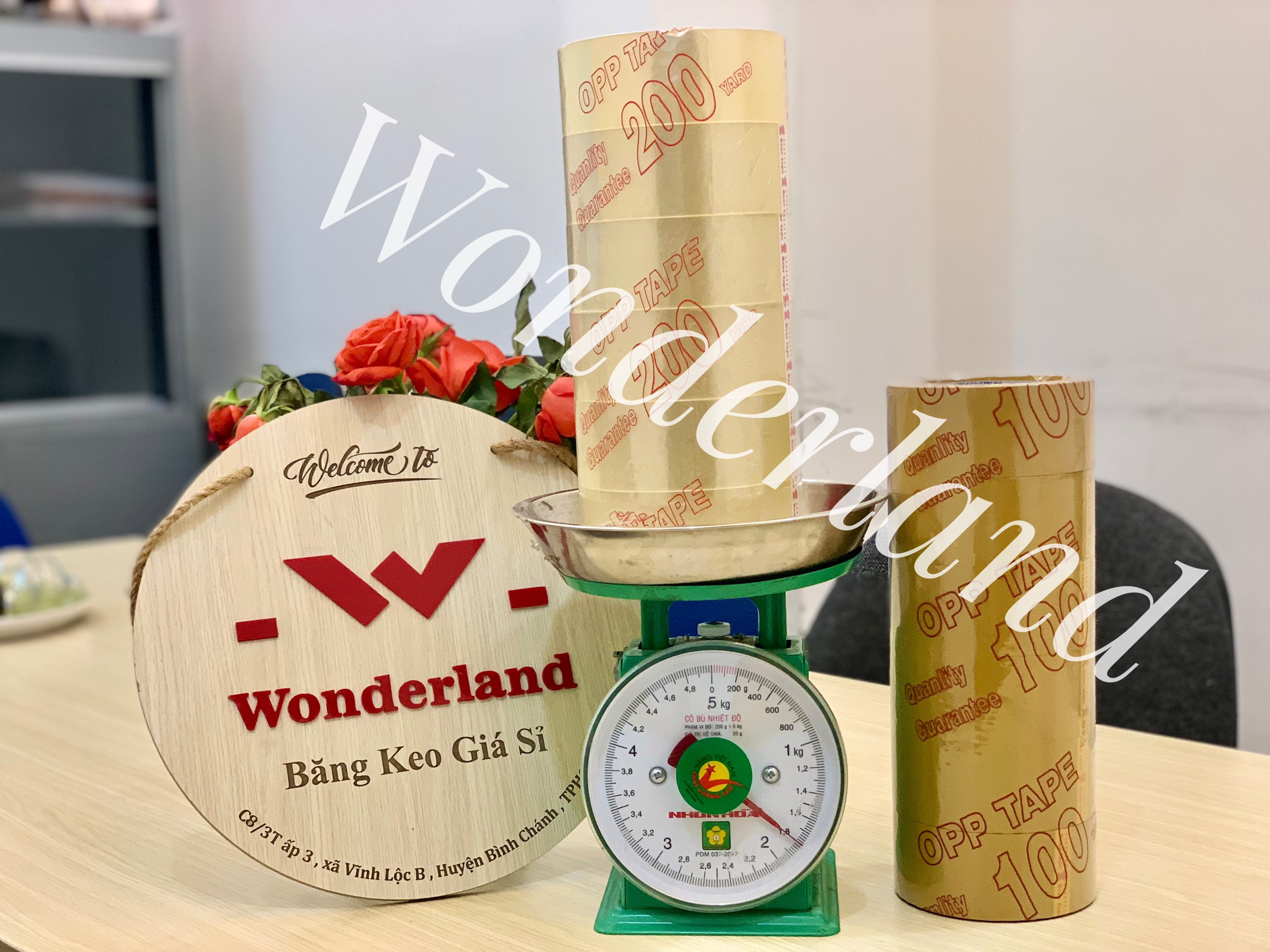 6 cuộn băng keo trong/đục đóng hàng 200yard 1.8kg