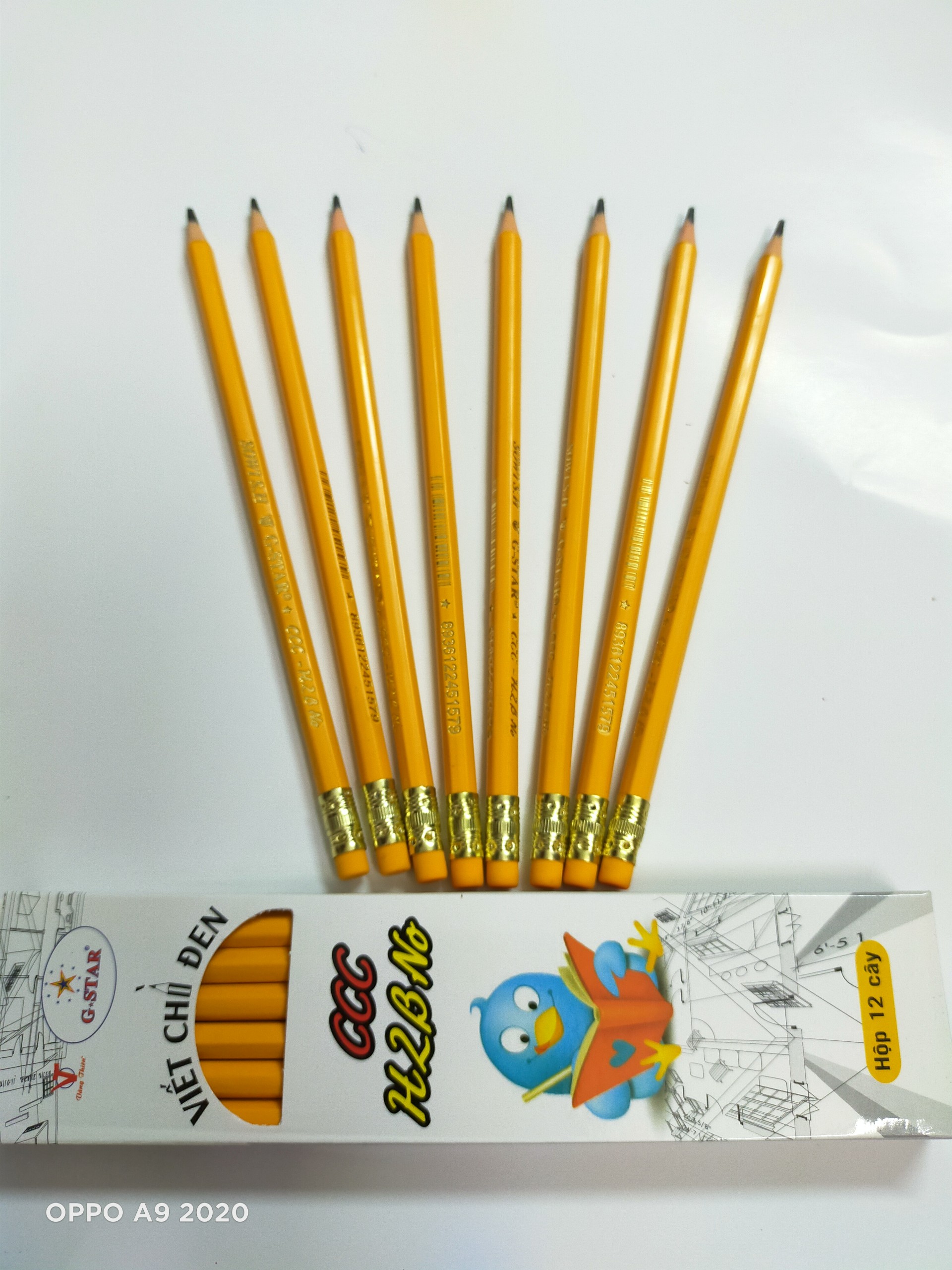 Hộp 12 cây bút chì đen gstar ccc