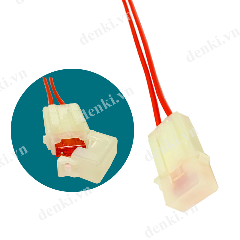 Denki hộp cầu chì rs