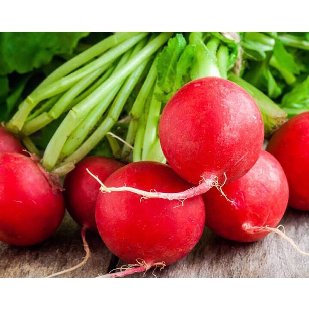 Hạt giống củ cải đỏ 5gram
