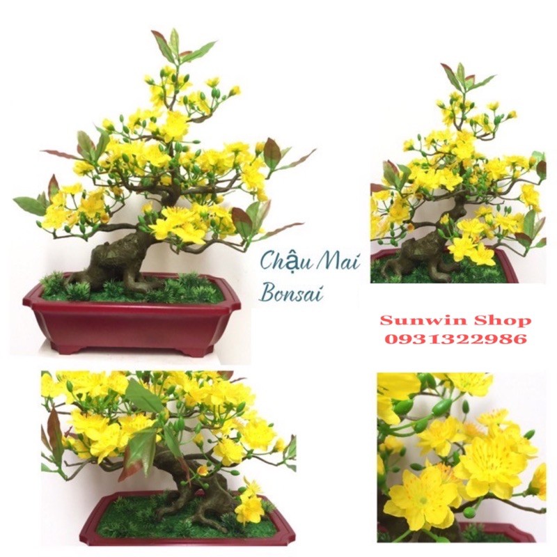 Chậu hoa mai bonsai-chậu hoa mai giả mini để bàn
