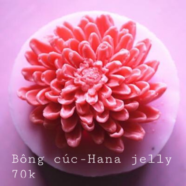 Khuôn rau câu silicon 4d hoa cúc đại mã c35sk9