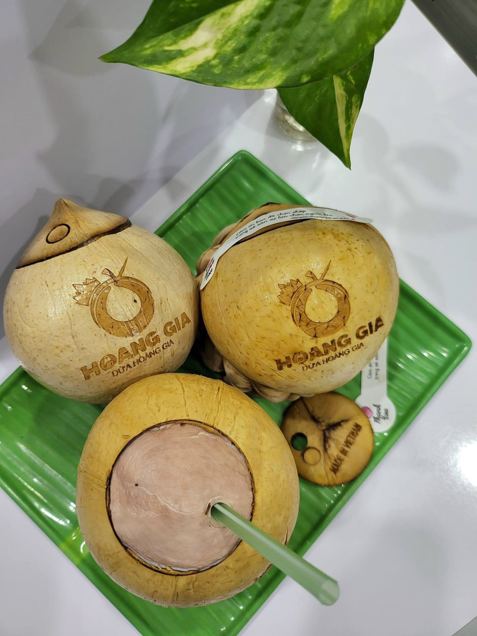 Dừa nướng Hoàng Gia size M