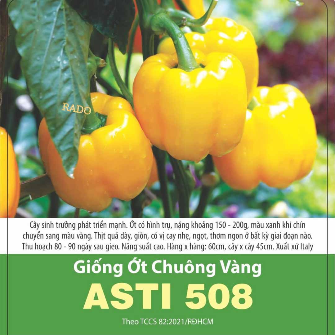 Hạt giống ớt chuông vàng rd508, đóng gói 0.5gr