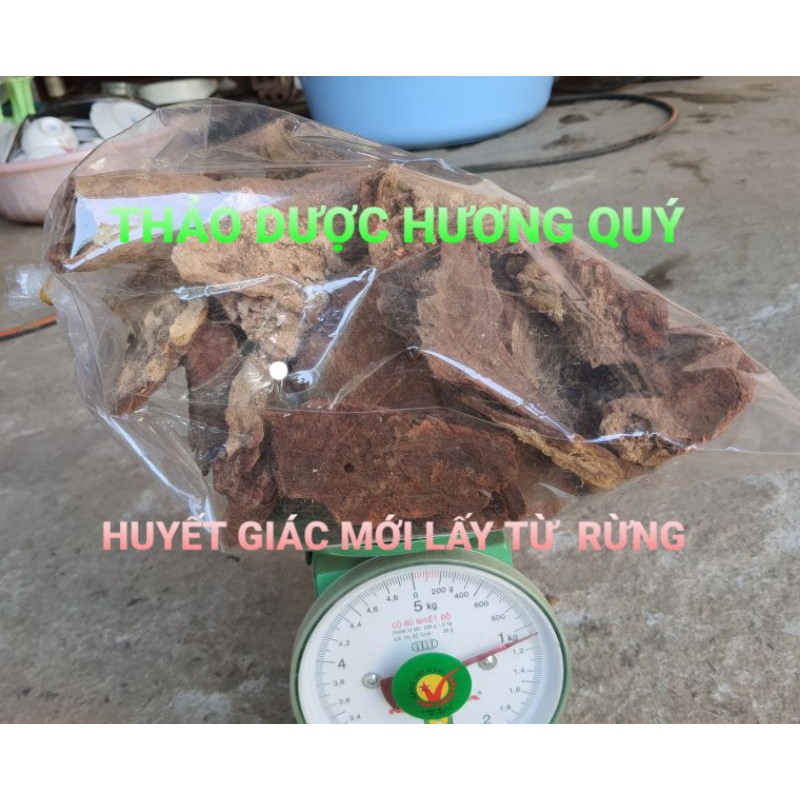 500 gram huyết giác đỏ nguyên bản loại 1