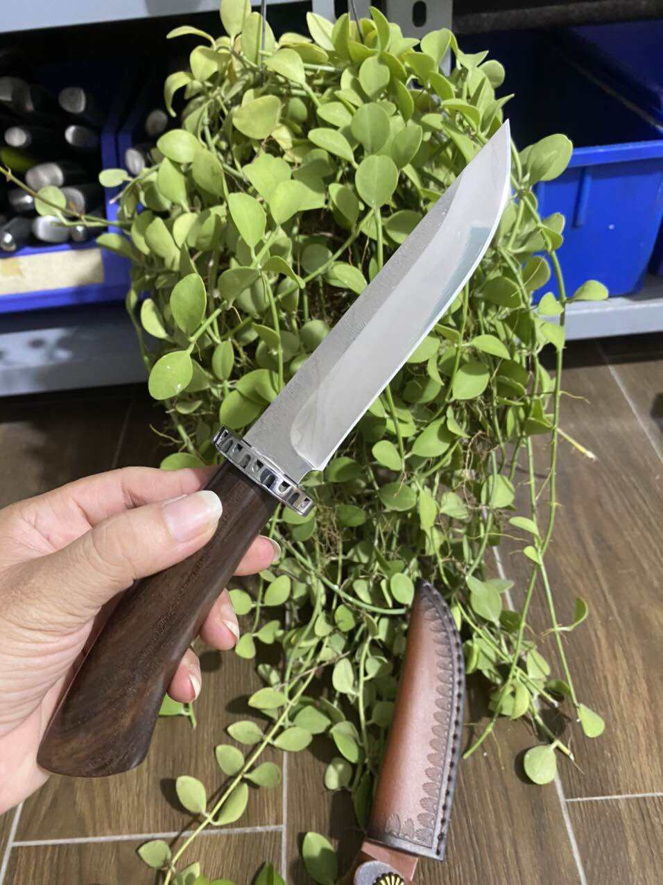 Dao gọt hoa quả 24,5cm, tặng kèm bao đựng