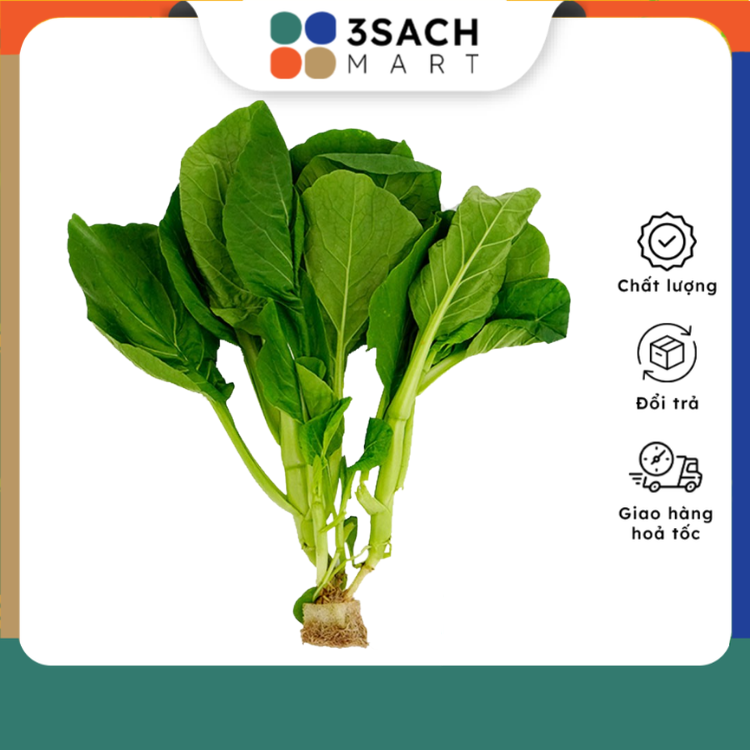Cải ngồng thủy canh - 300g/gói