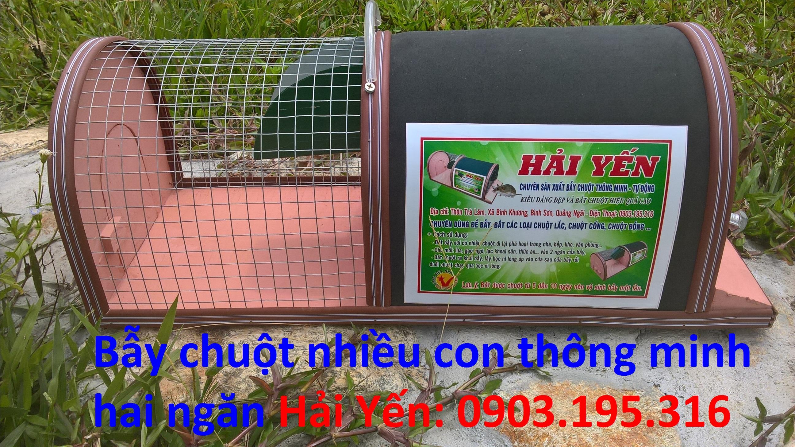 BẪY CHUỘT NHIỀU CON CÙNG LÚC BẪY CHUỘT THÔNG MINH 2 NGĂN HẢI YẾN LOẠI LỚN