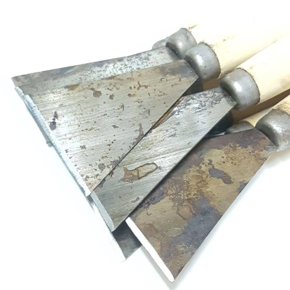 Cây sủi sơn lớn 7cm 10.cái