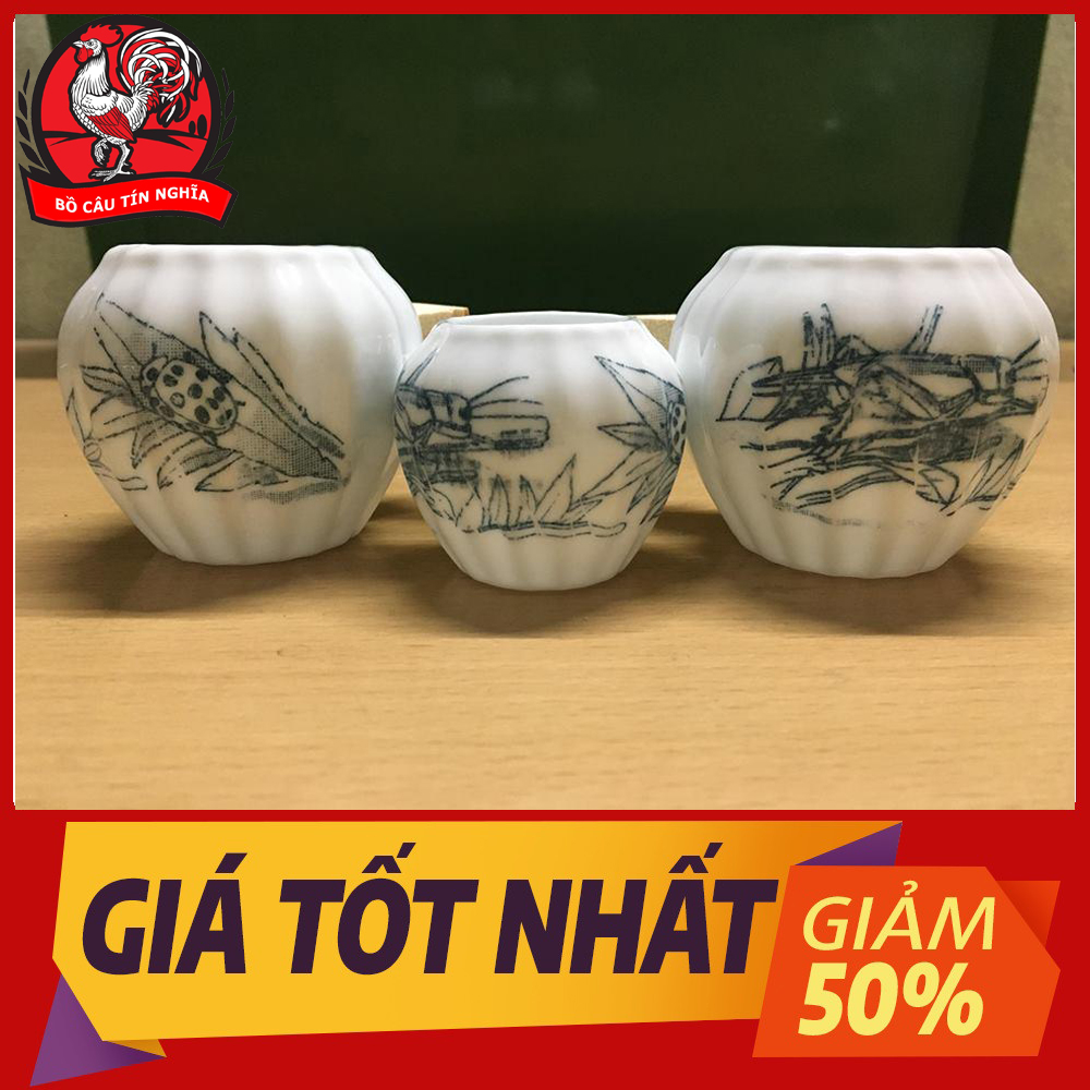 [HOÀN TIỀN 10%]Cóng ăn uống cho chim 07 - Cóng cho chim ăn - Cóng chim ăn