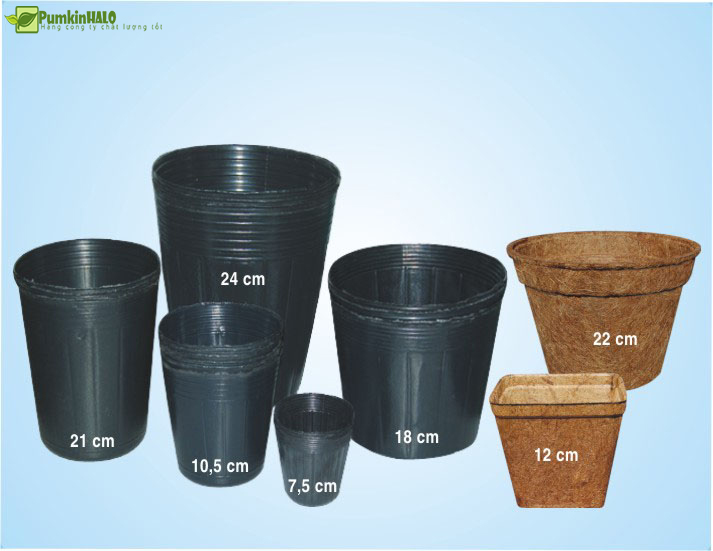 [HCM]CÁC LOẠI CHẬU NHỰA MỀM ĐEN 24CM