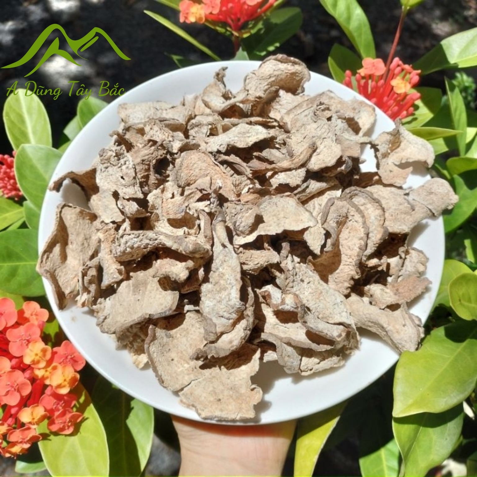 Củ bạc hà núi, củ ráy rừng khô Tây Bắc loại 1 được phơi khô từ củ bạc hà núi, củ ráy dại tươi to già, lâu năm