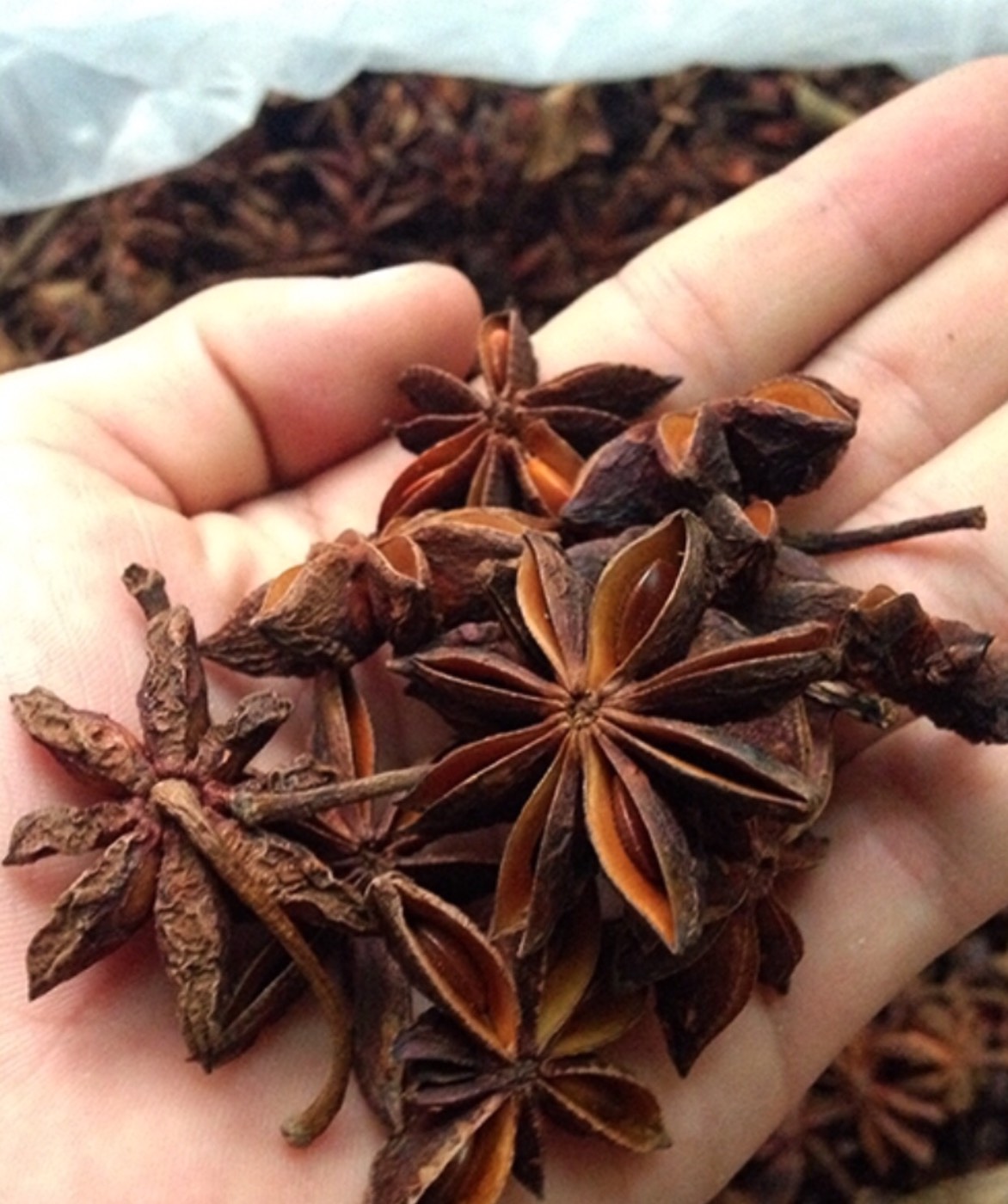 hoa hồi khô đại hồi gói 1kg