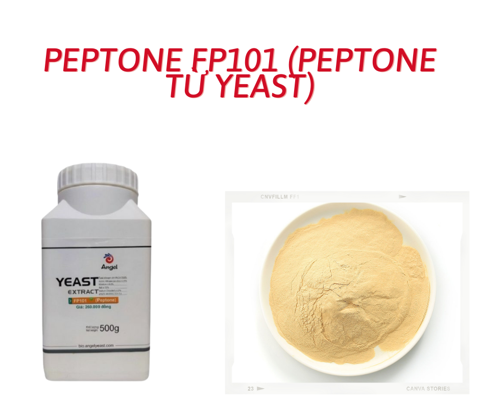 Peptone yeast FP101-500g/chai ( Peptone từ Yeast ) dùng nuôi vi sinh, trồng nấm,dùng cho thực phẩm.