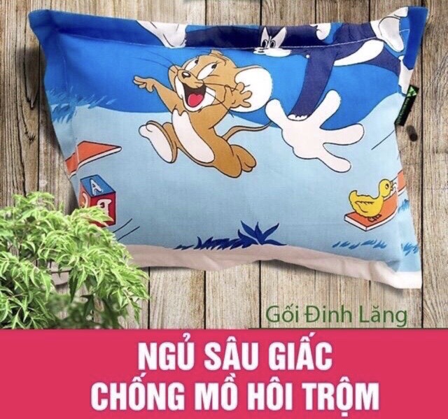 Gối lá đinh lăng cao cấp  cho em bé 0-12 tháng(Gối thảo dược chống mồ hôi trộm, giật mình) Gối đinh lăng cho bé