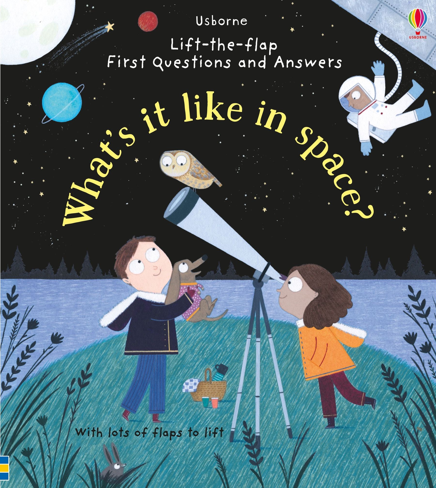 Lift-the-Flap First Questions and Answers What's it like in Space?