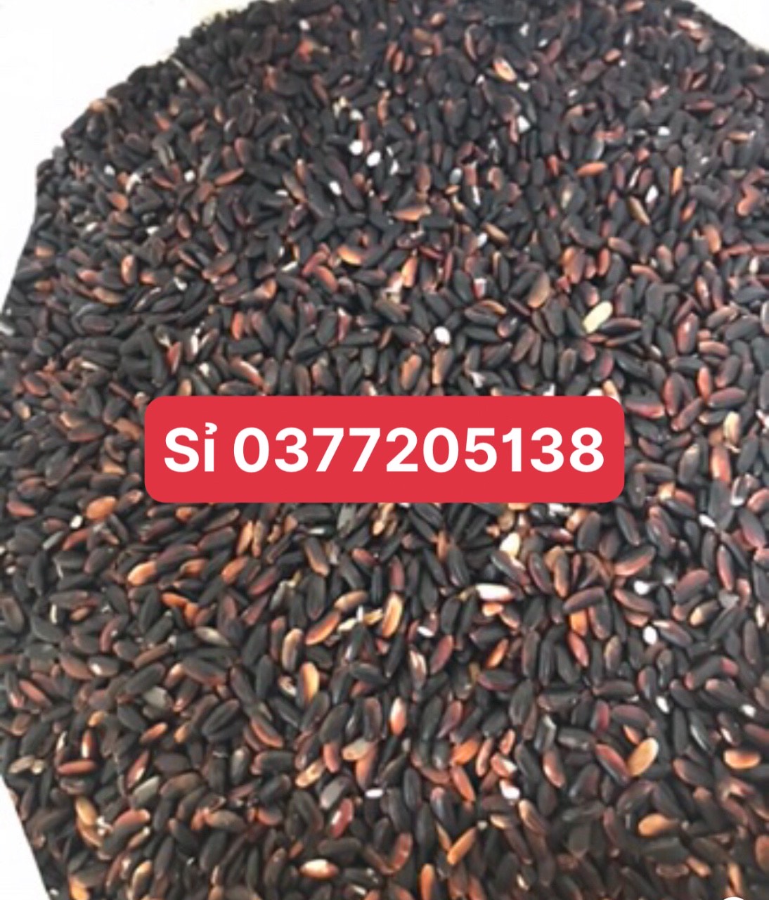 Gạo cẩm nếp nương