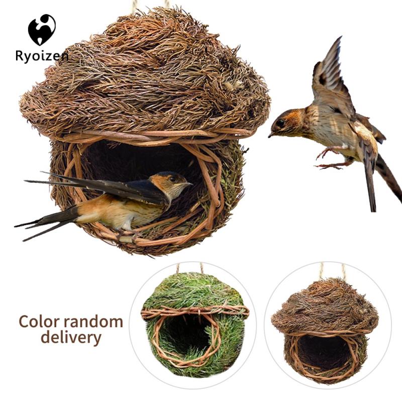 Khám phá “choáng” loài chim khéo léo và chăm chỉ bậc nhất - Tạp chí Doanh  nghiệp Việt Nam