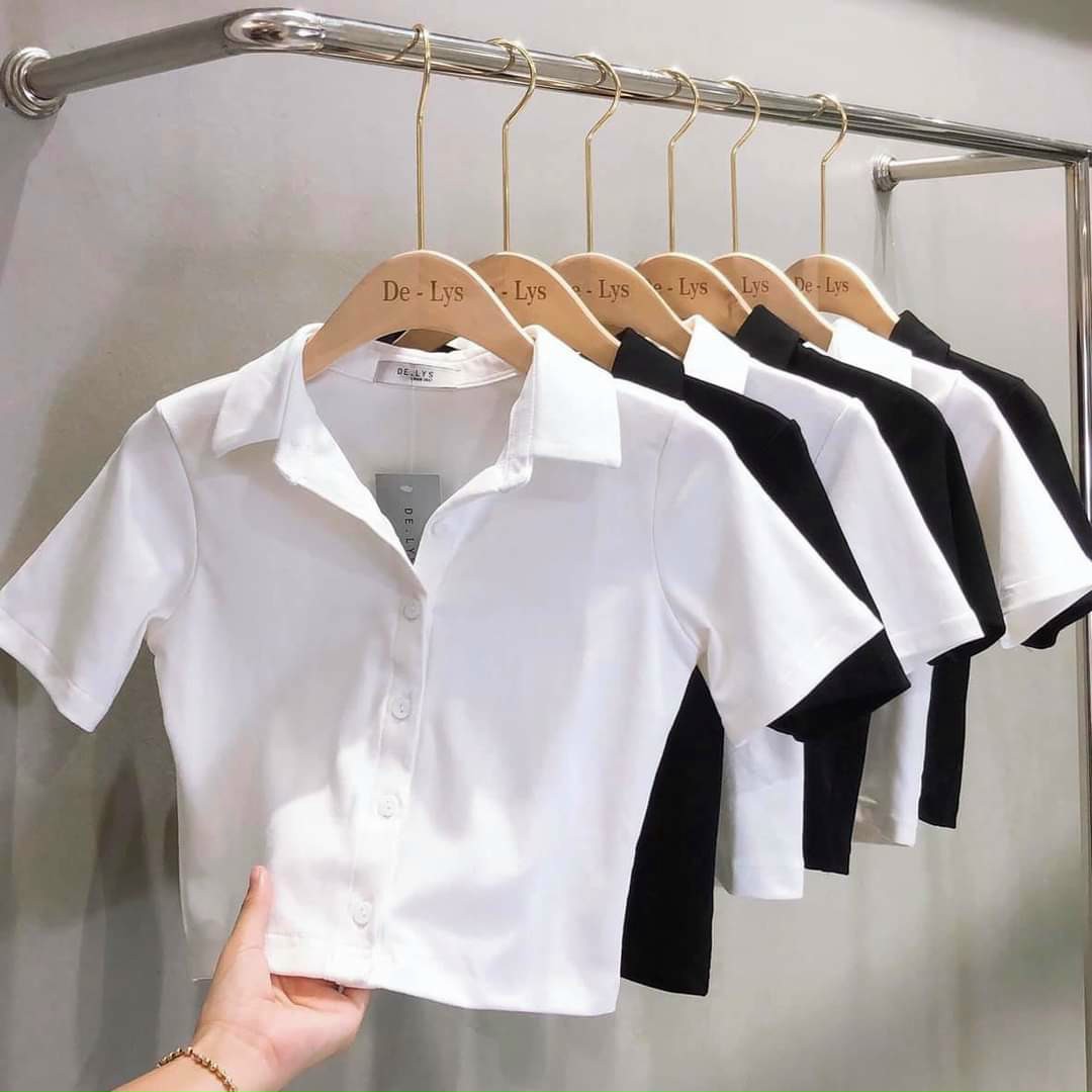 ÁO THUN NƯ ÁO HOT CÀI NÚT ÁO THUN NỮ CROPTOP ÁO THUN CỔ SƠ MI ÁO VẢI THUN GÂN FORM 45KG(pc)