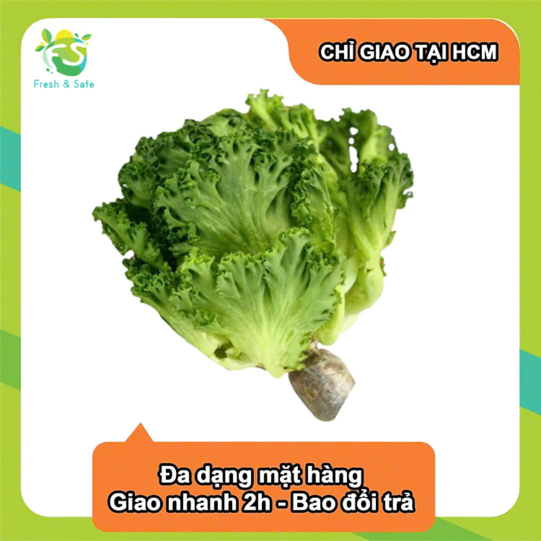 [Chỉ Giao HCM] Xà lách thủy canh - 300g