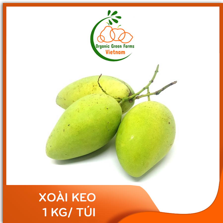 [OGF] - Xoài keo (1kg) - Giao nhanh HCM