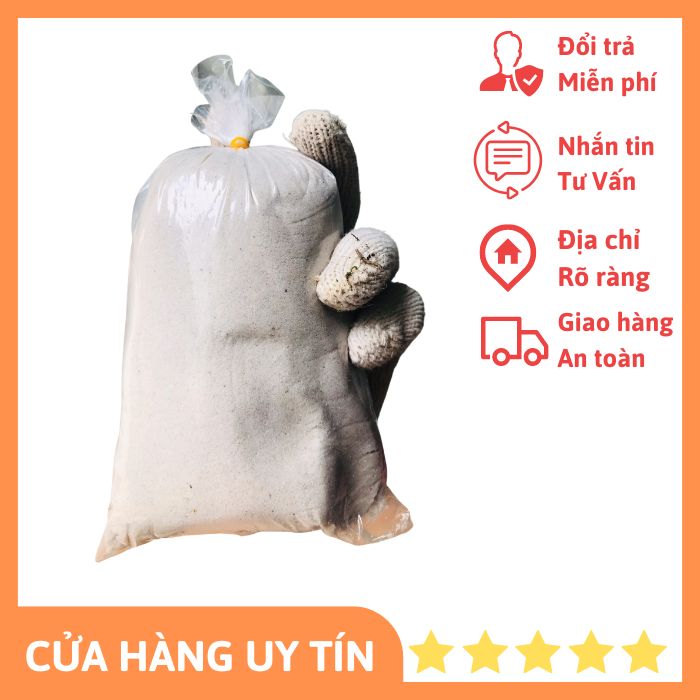 Cát trắng lót nền