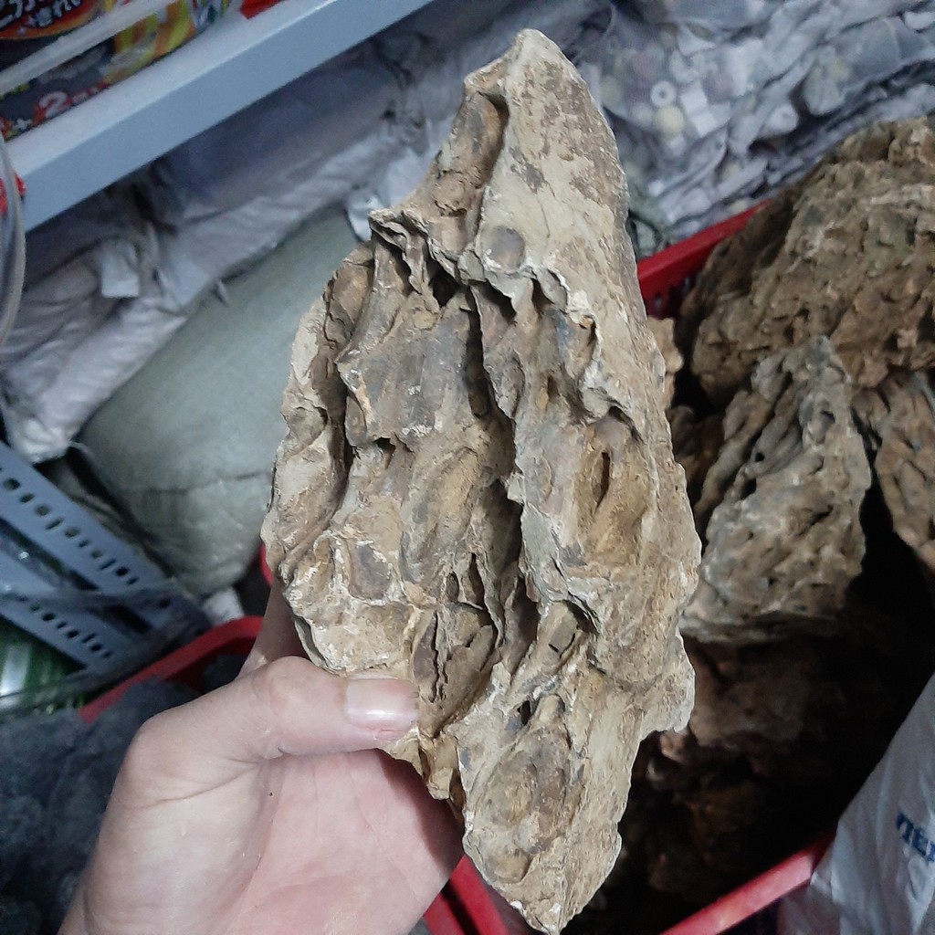 Đá tiger setup bể cá cảnh bể thuỷ sinh (1kg), chất lượng sản phẩm đảm bảo và cam kết hàng đúng như mô tả