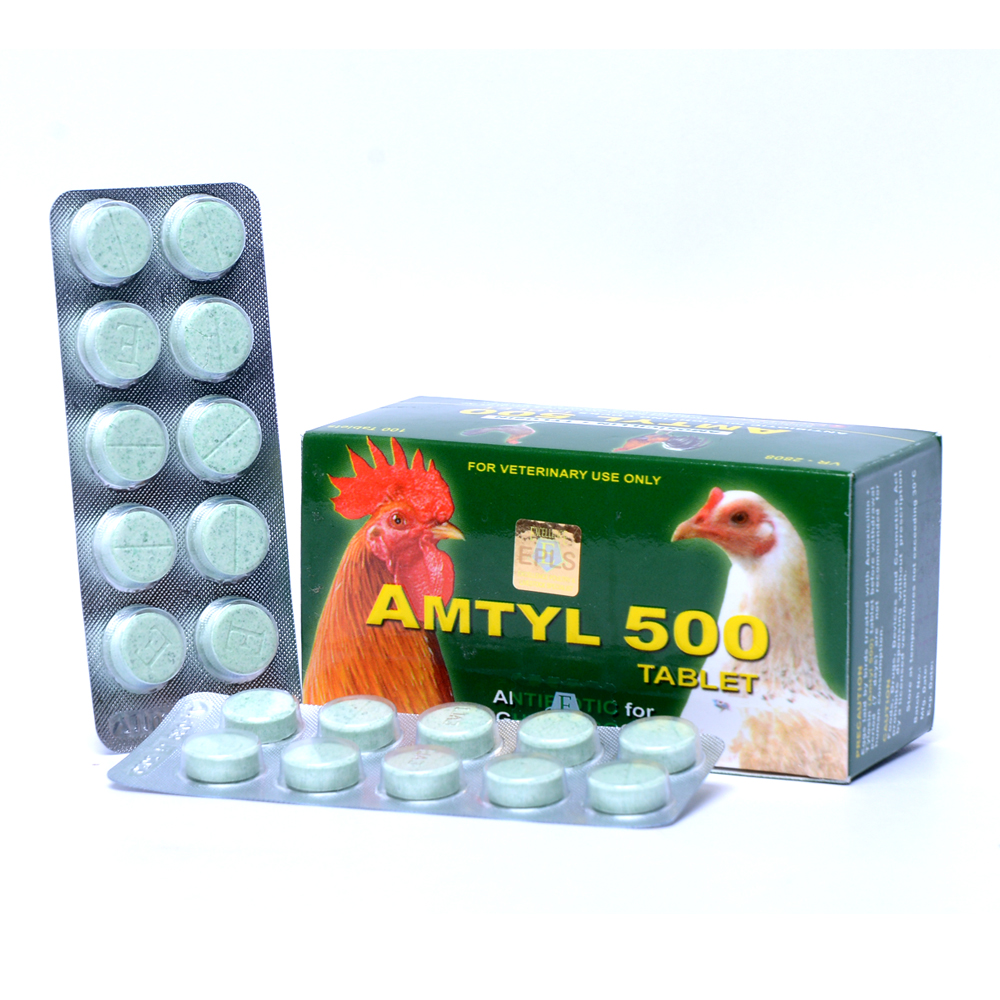 Amtyl 500 thuốc trị tang khò khè sổ mũi dành cho gà đá - thuốc chiến kê.