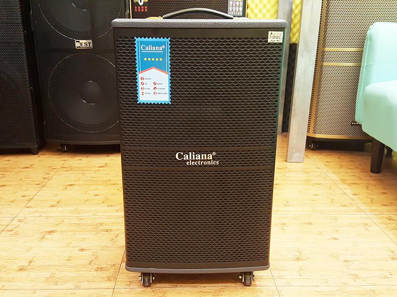 Loa kéo di động caliana wd 12a. 3 tấc gỗ công suất nén hát hay+ tặng chống lăn micro