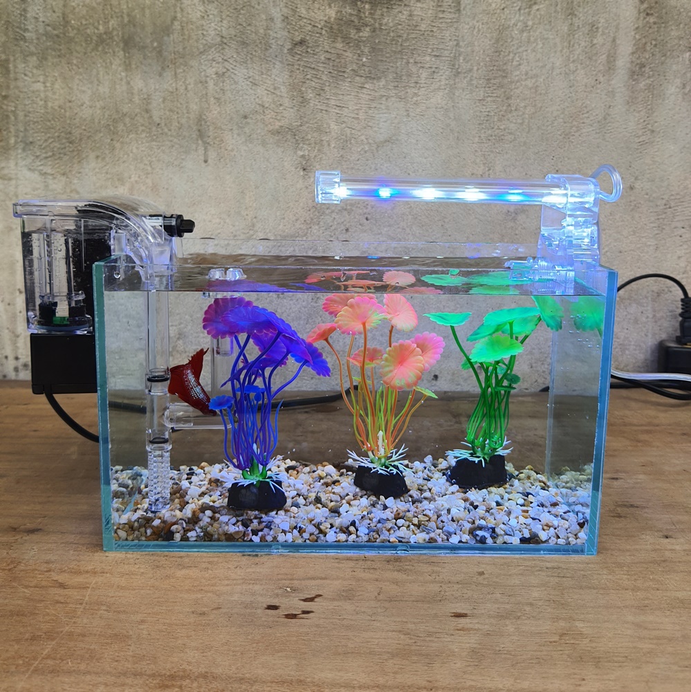 Bể cá mini 24 cm với 4 món (bể 24, sỏi nền, máy lọc, 3 cây nhựa mini)